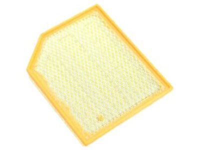 Dodge 53010798AD Air Filter