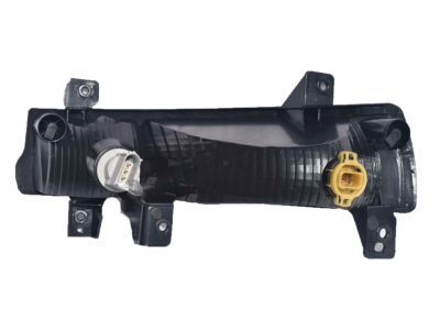 Jeep 55112720AA LAMP Park and Turn Signal