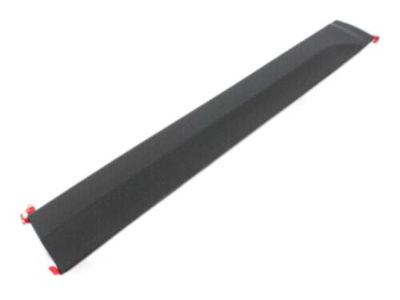 Jeep 5182566AC MOLDING Front Door