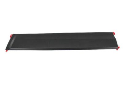 Jeep 5182566AC MOLDING Front Door