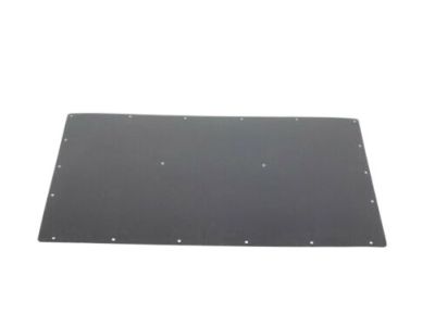 Ram 1ZP98LAHAA PANEL Sliding Door Trim