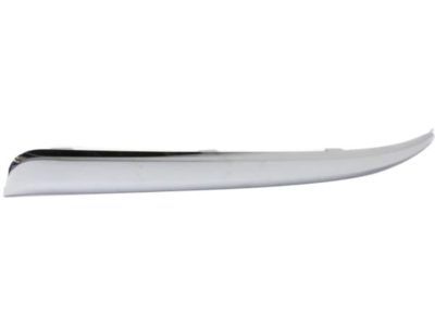 Dodge 5113730AB Trim Molding