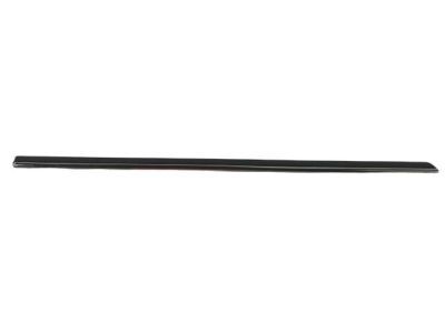 2006 Dodge Magnum Door Moldings - WG20AXRAC