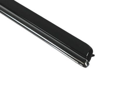 Dodge WG20AXRAC MOLDING Rear Door