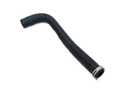 Dodge Radiator Hose - 52028872AD