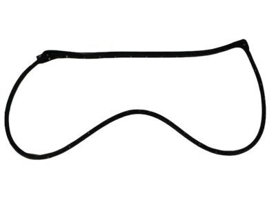Mopar 5067767AD Door Weatherstrip, Front