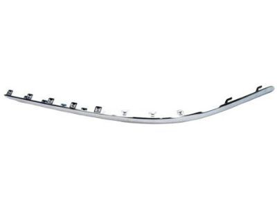 Dodge 5104525AA NERF Fascia