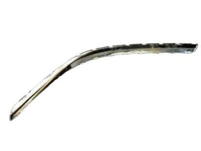 Dodge 5104525AA NERF Fascia