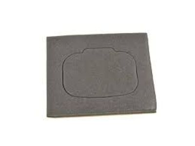 Dodge 5029607AC SEAL Foam