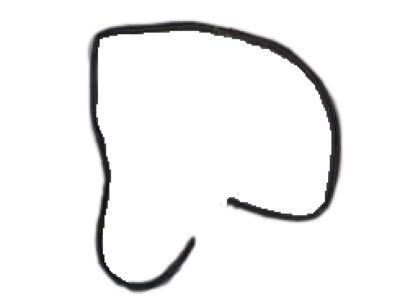 Chrysler PT Cruiser Door Seal - TM62WL8AB