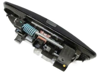 Mopar 1MZ85KBXAG Handle Front Door Exterior