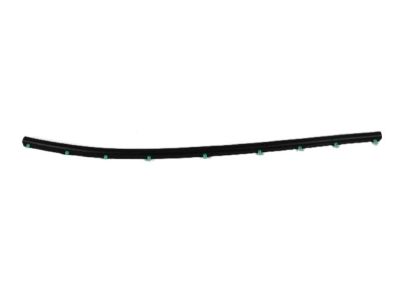 Ram 5109523AA SEAL Hood