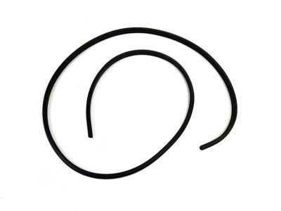 2002 Dodge Ram Wagon Door Seal - 55346790AJ