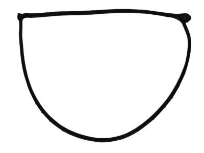 Dodge Avenger Door Seal - 5008843AC