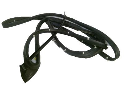 Ram 5500 Door Seal - 55112356AE