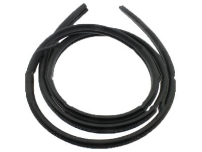 Jeep 5GU15XXXAG WEATHERSEAL Full Door To Body