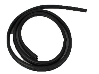 Jeep 5GU15XXXAG WEATHERSEAL Full Door To Body