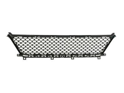 Mopar 68288550AB Lower Grille, Front