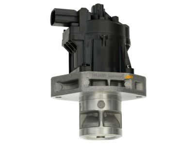 Ram 68211310AA VALVE KIT EGR
