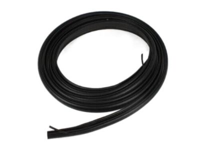 Ram 5054274AD WEATHERSTRIP Liftgate Opening