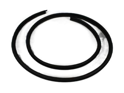 Mopar XW42XXXAB Body Weatherstrip, Front