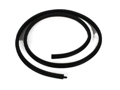 Mopar XW42XXXAB Body Weatherstrip, Front