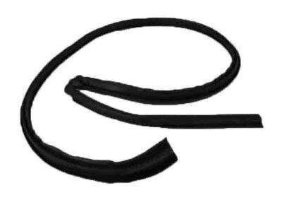 Chrysler PT Cruiser Door Seal - 4724784AC