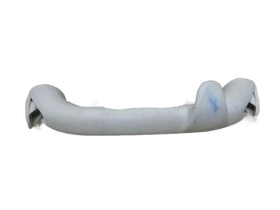 Dodge 1FG16DW1AA HANDLE Grab