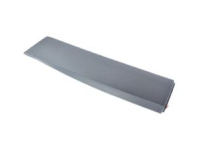 Mopar 1YW35RXFAB Molding Rear Door