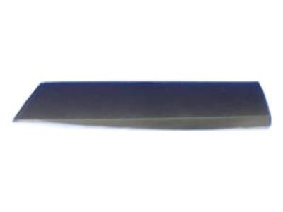 Mopar 1YW35RXFAB Molding Rear Door