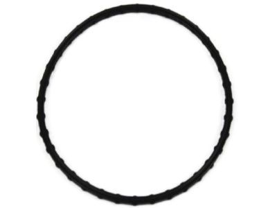 Dodge 4659430AB SEAL Water Pump To Front Cover