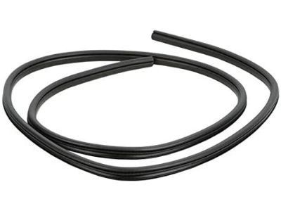 Ram 55112360AC Weatherstrip On Body
