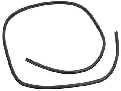 Ram 55112360AC Weatherstrip On Body
