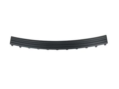 Mopar 68111633AB Step Pad, Rear