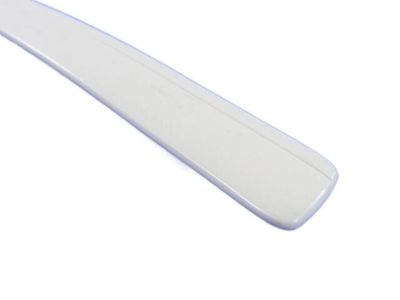 Dodge WU21AP4AA MOLDING Front Door