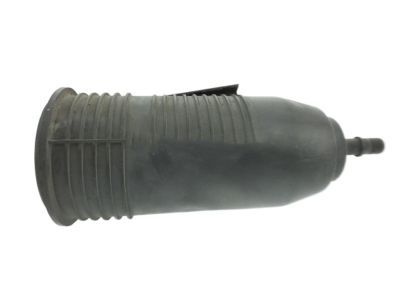 Dodge 68322223AC CANISTER Vapor