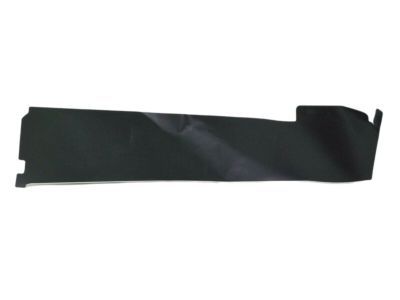 Ram 55372276AC APPLIQUE Rear Door