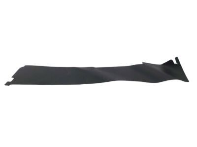 Ram 55372276AC APPLIQUE Rear Door
