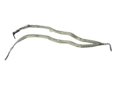 Jeep 56038740AE STRAP Ground