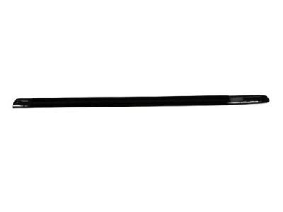 Dodge 4805996AB WEATHERSTRIP Front Door Belt Outer