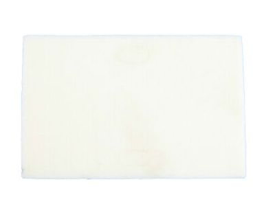 Dodge 5029443AC SEAL B-Pillar