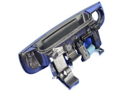 Mopar 1MZ85HBVAF Handle Front Door Exterior