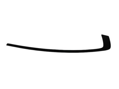 Mopar 57010506AJ Molding Day Light Opening Rear Door