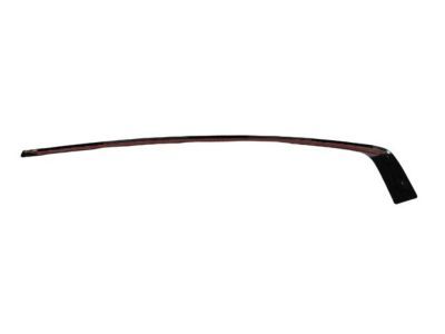 Mopar 57010506AJ Molding Day Light Opening Rear Door