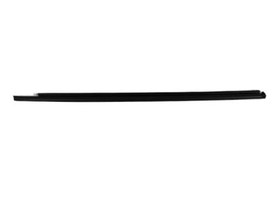 Chrysler 4805322AD MOLDING Front Door Belt