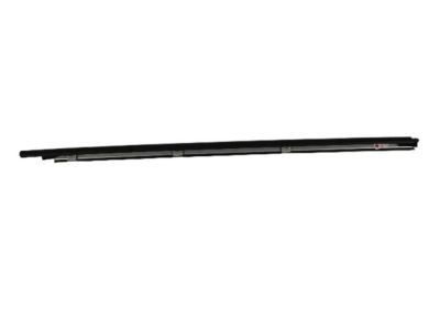Chrysler 4805322AD MOLDING Front Door Belt