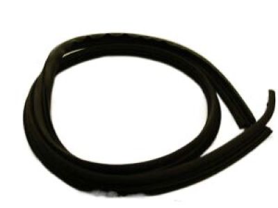 Dodge Intrepid Weather Strip - UP92XXXAC