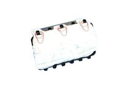 Ram 68276462AA AIR BAG Passenger