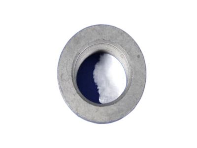 Dodge 68018934AA NUT Pinion Yoke