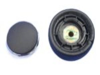 Ram 1RV43DX9AC KNOB Gearshift